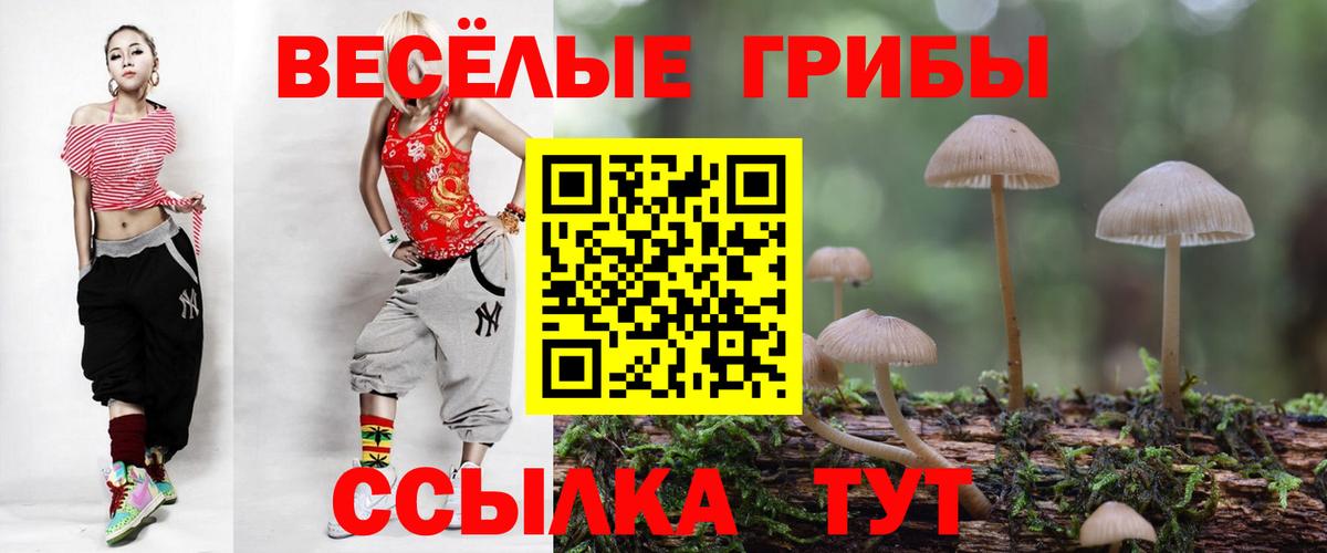Кемерово  Псилоцибиновые грибы прущие грибы  Вход с VPN 